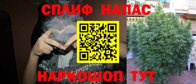 PSILOCYBIN Пугачёв