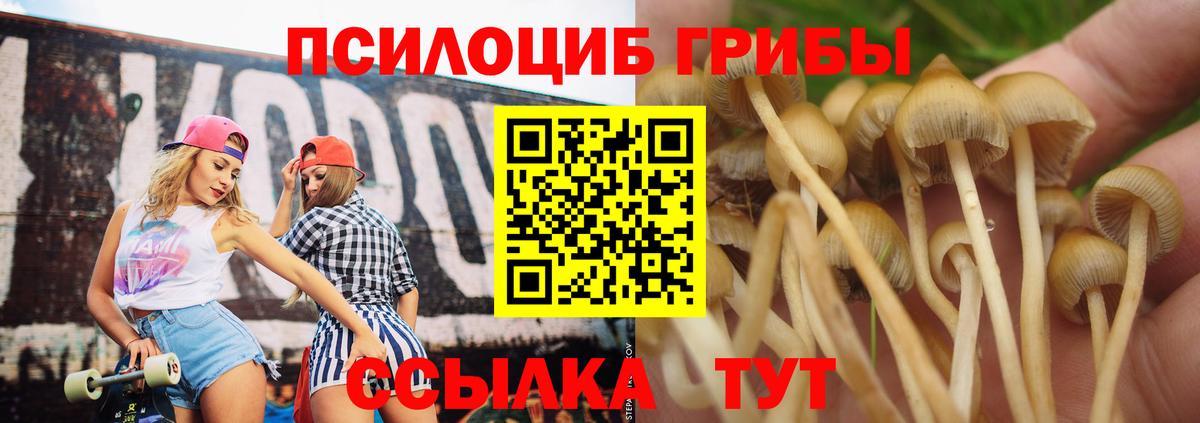 Псилоцибиновые грибы MAGIC MUSHROOMS  Вход с VPN  Ревда  Галлюциногенные грибы Cubensis 